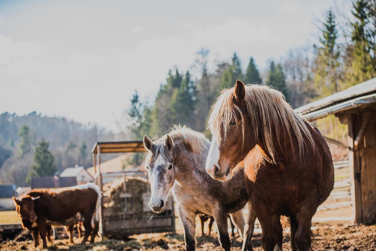 Farm Stay Zurej Šentjur Eksteriør bilde