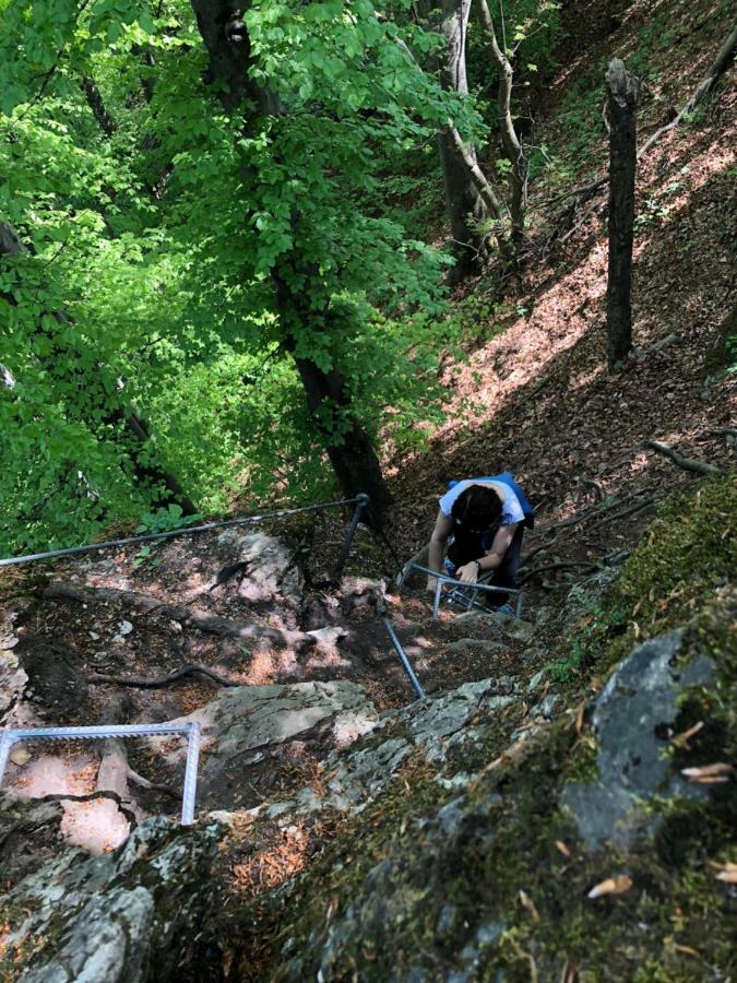 Farm Stay Zurej Šentjur Eksteriør bilde