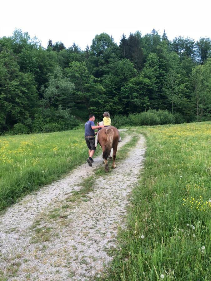 Farm Stay Zurej Šentjur Eksteriør bilde